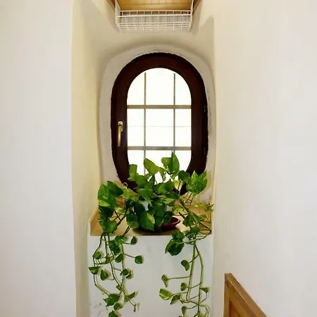 Amuri Ri Arco Apartment